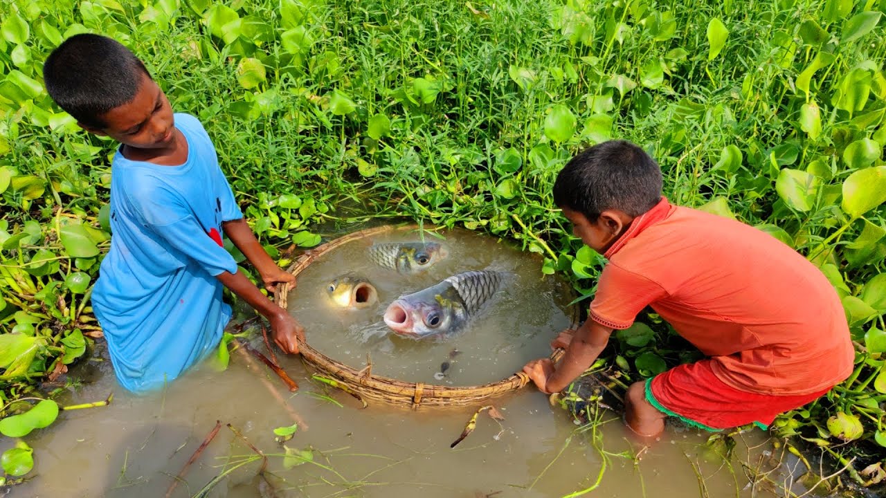 Unique Fish Trapping System Catch Lots of Fish|Fish Trap in New Method|Most Popular Fishing Video