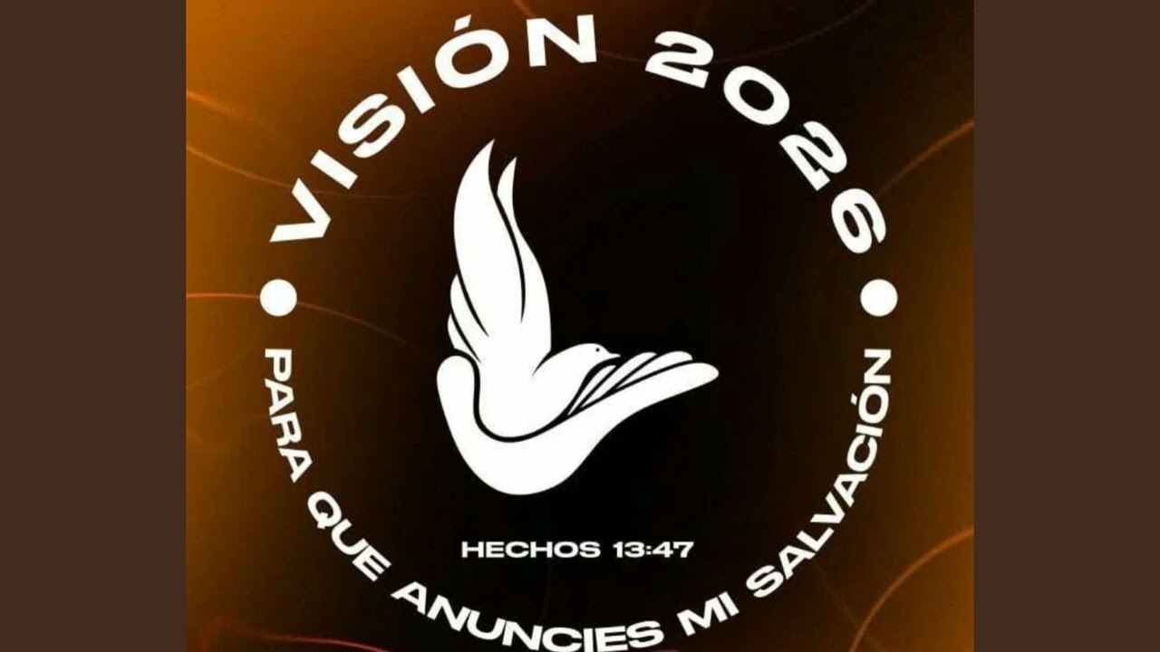 IBB VISION