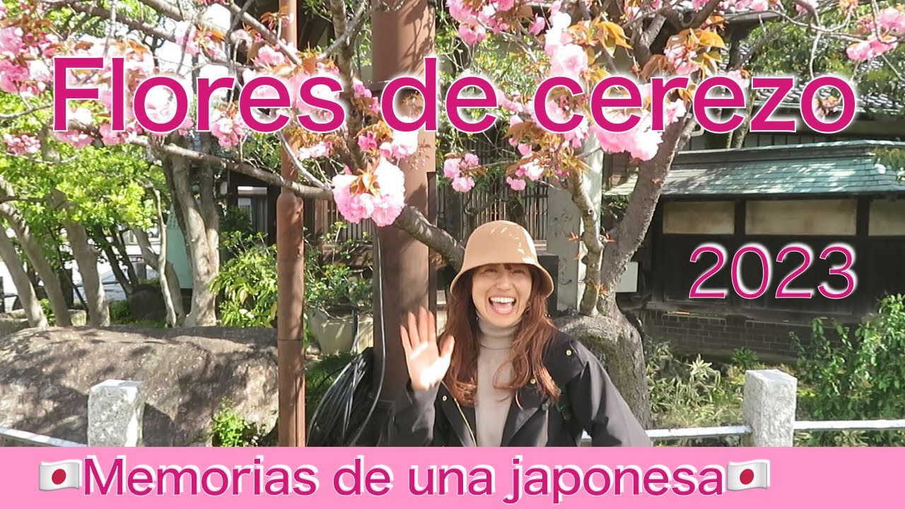 Sakura ~varios tipos de flores de cerezo de Japón~
