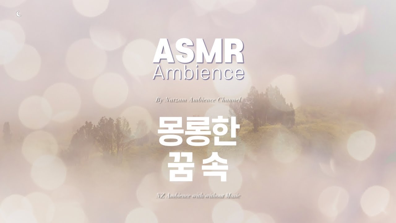 누구도 평가하지 않는 곳🌙바스락 폭신 포근 몽롱한 꿈 속 ASMR