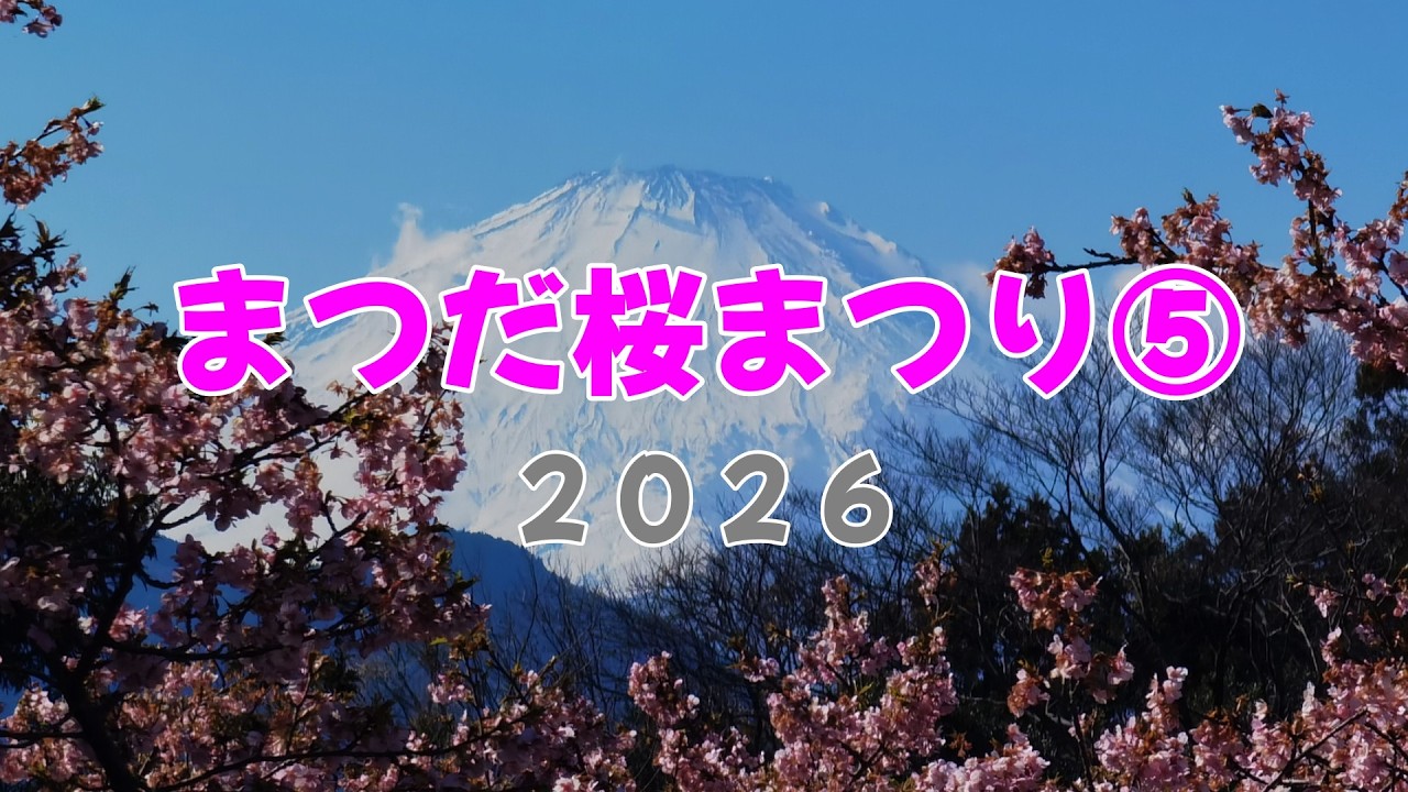 《まつだ桜まつり》⑤２０２６