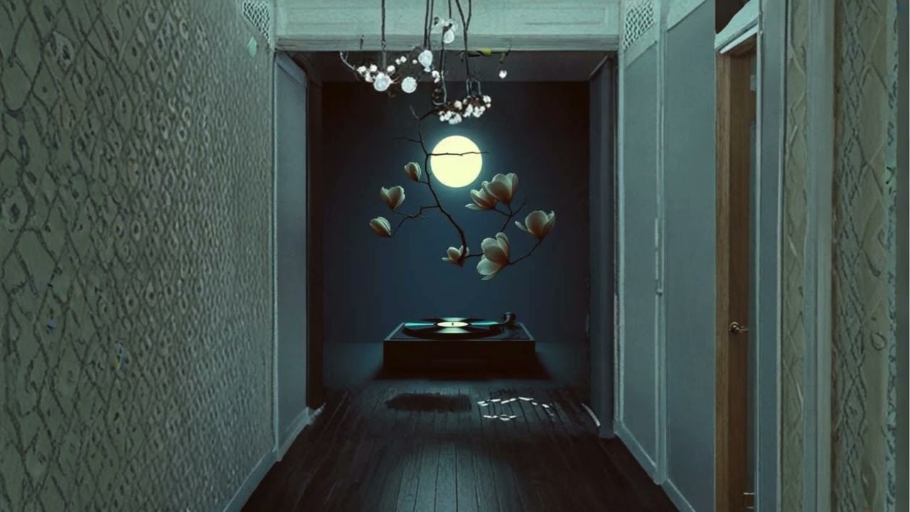 Midnight in Magnolia