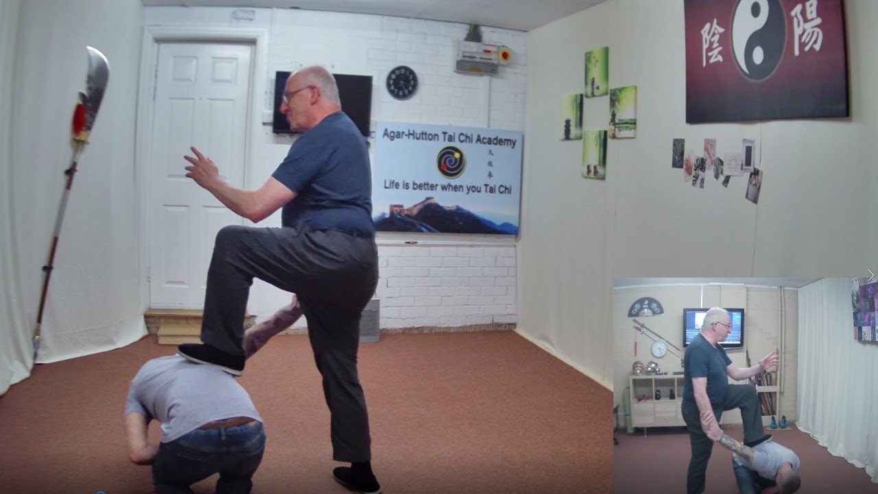 Tai Chi for Fighting / Self Defence - 2