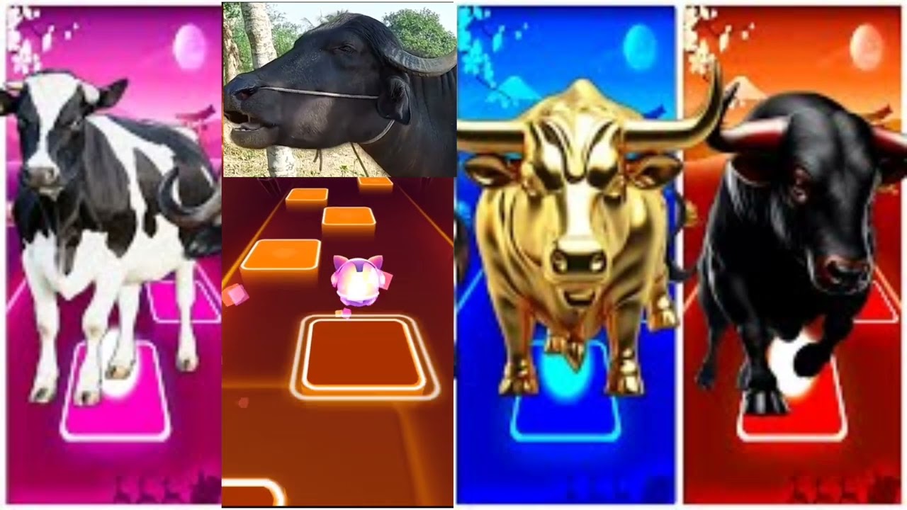 Funny Cow🐄🆚Funny Buffalo🐃🆚Funny Bull the Golden🐂🆚Funny Bull🐃🔴Tiles Hop EDM Rush #tileshopedmrush