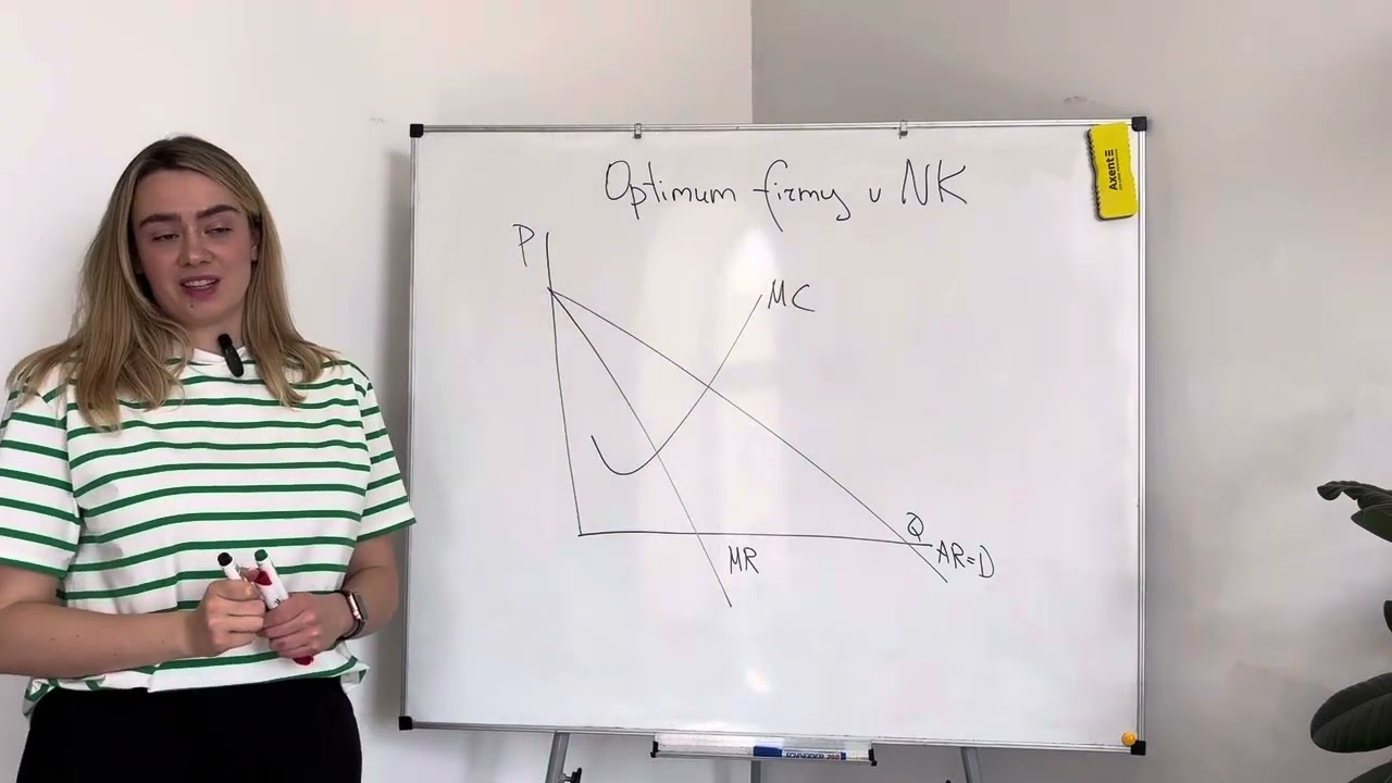 Mikroekonomie 1. Nedokonalá konkurence. Макроэкономика 1. Неидеальная конкуренция. VŠE