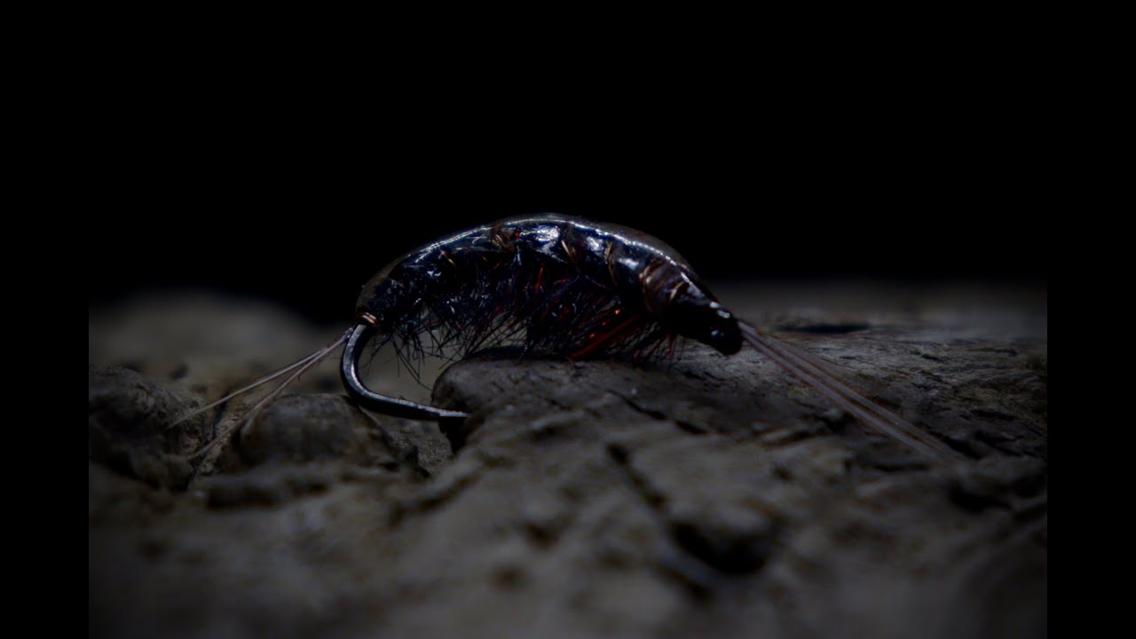 FTT : The Gammarus  /  My Top 3 Seatrout Flies for Autumn