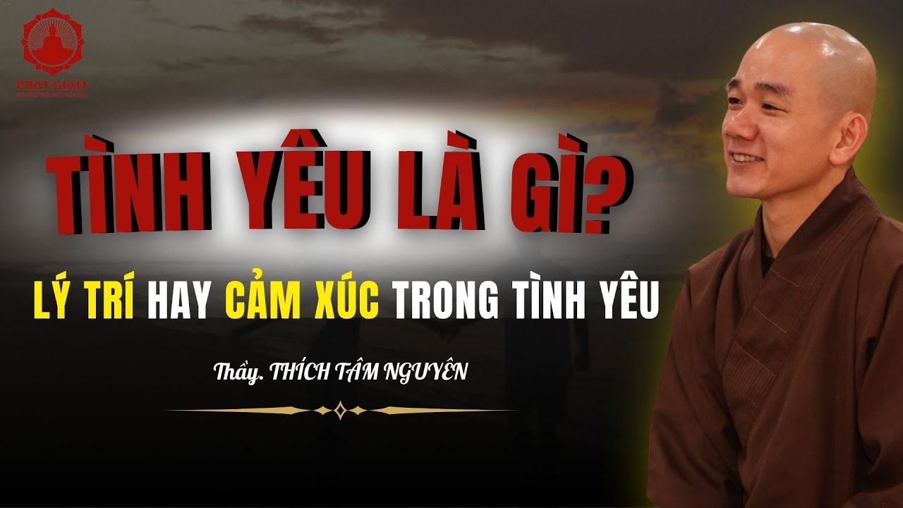 15 Tr&iacute;ch đoạn c&acirc;u n&oacute;i bất hủ về t&igrave;nh y&ecirc;u của Thầy Th&iacute;ch T&acirc;m Nguy&ecirc;n | L&agrave; người trẻ h&atilde;y nghe 1 lần !