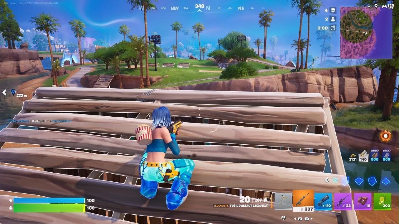 Fortnite_20260111 course au top 1