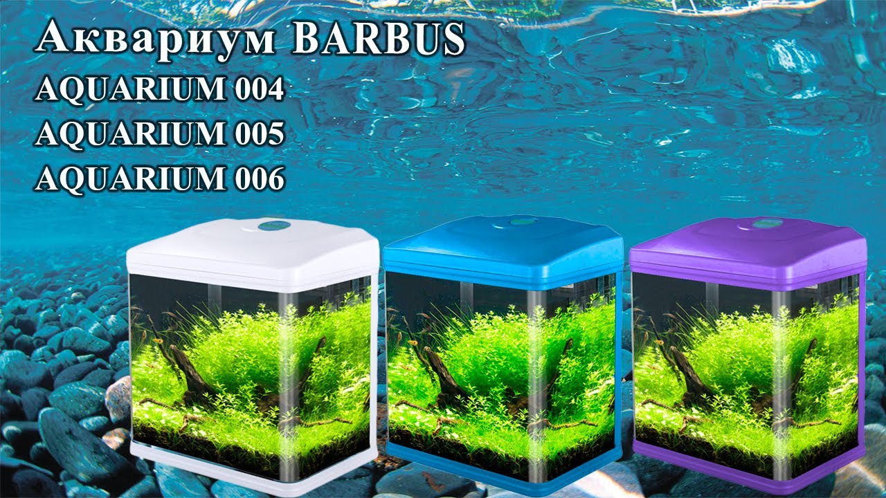 AQUARIUM 004, 005, 006
