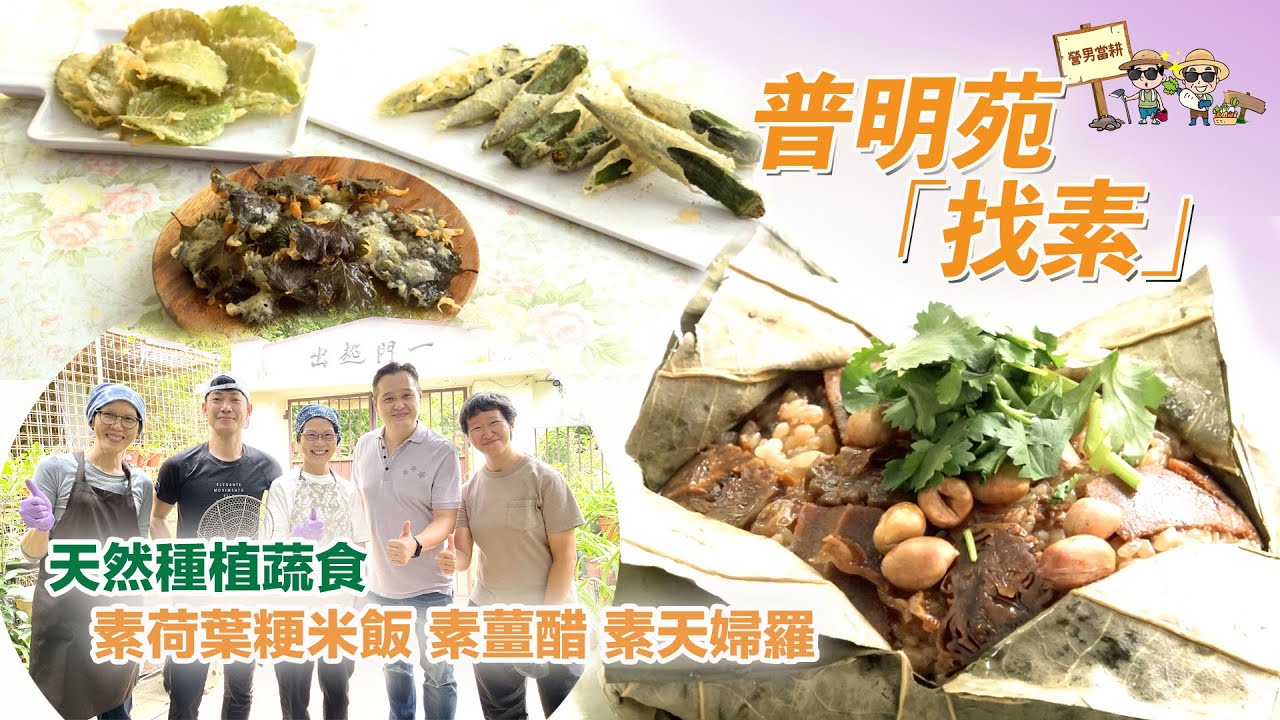 《營男當耕》：普明苑「找素」！天然種植蔬食，即炸成素天婦羅！還有荷葉粳米飯、素薑醋等健康有營素菜…… | 中文字幕