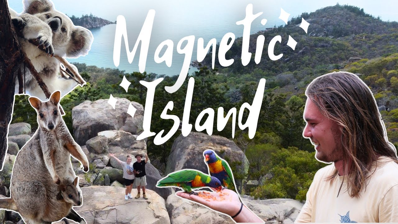 Magnetic Island - EVERYTHING you need to know!  | QLD - VANLIFE