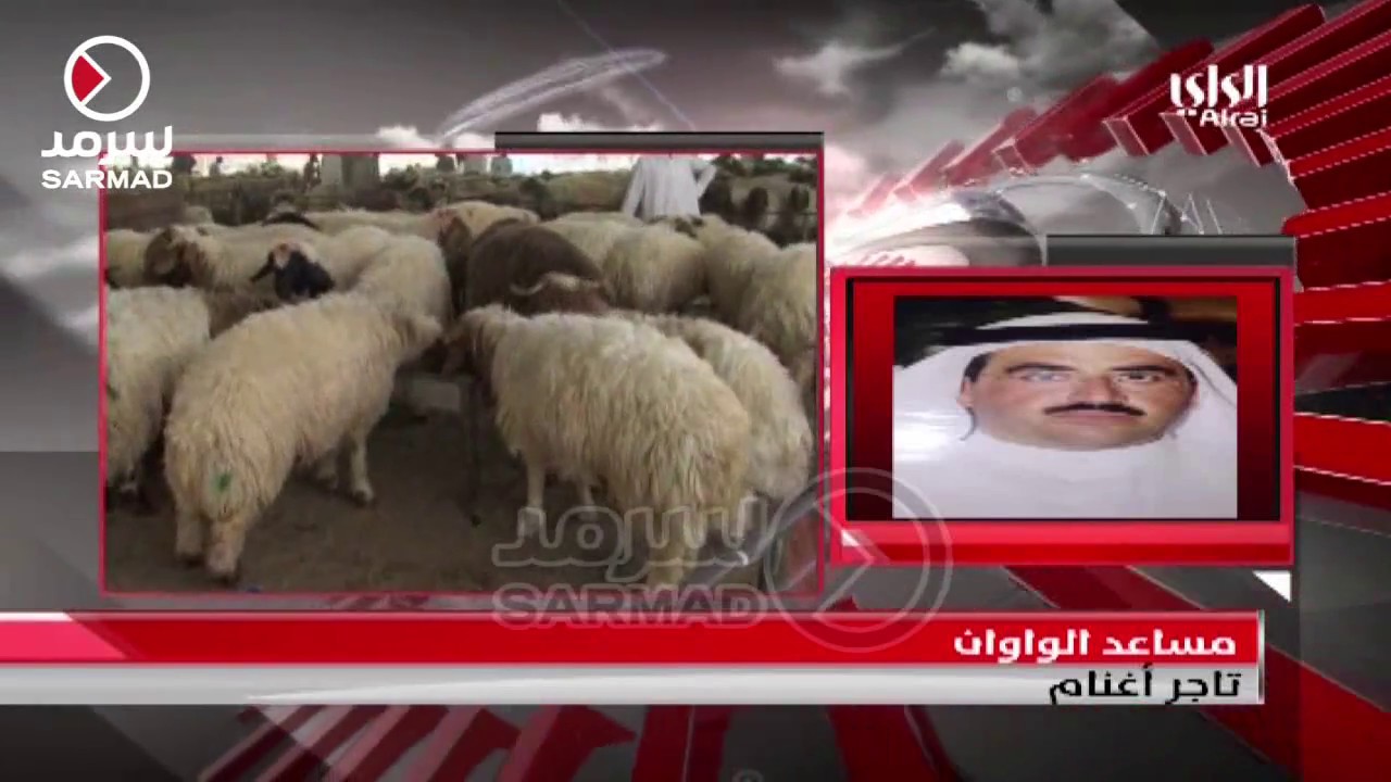 مداخلة مساعد الواوان أحد أصحاب الشركات الموقعين على وثيقة  مستوردي الأغنام