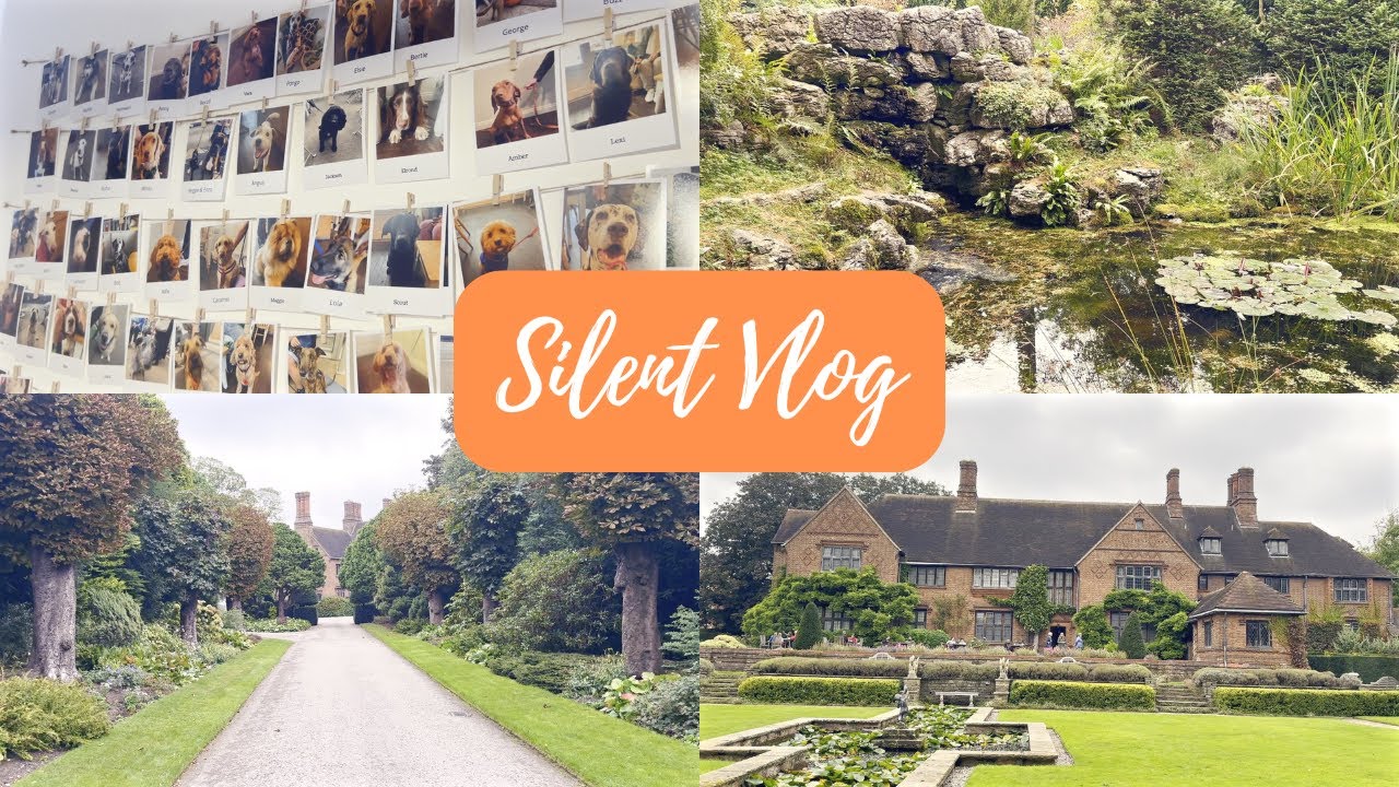 Silent Vlog |  Morning Coffee, Slow Living, Garden Tour, Cozy Vlog