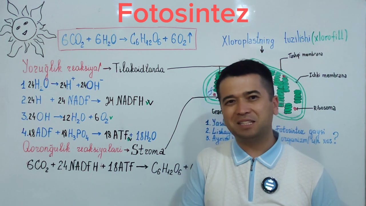 Mavzu: Fotosintez