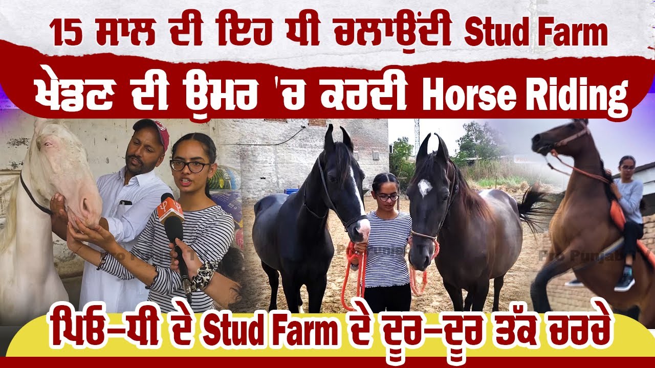 15 ਸਾਲ ਦੀ ਇਹ ਧੀ ਚਲਾਉਂਦੀ Stud Farm, ਖੇਡਣ ਦੀ ਉਮਰ 'ਚ ਕਰਦੀ Horse Riding | Pro Punjab Tv