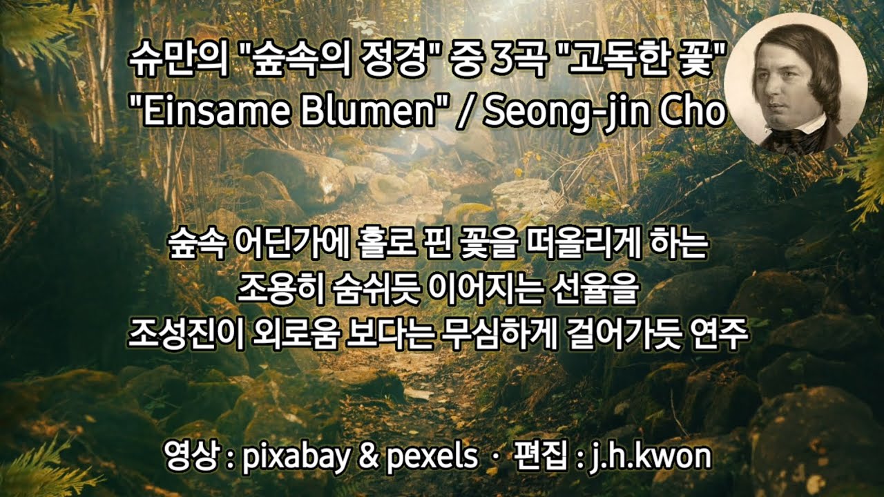 슈만의 