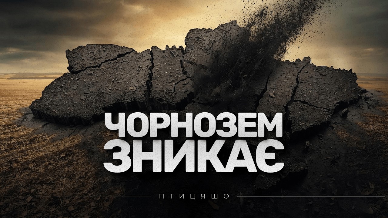 Ми втрачаємо чорнозем. Що насправді відбувається з ґрунтами України
