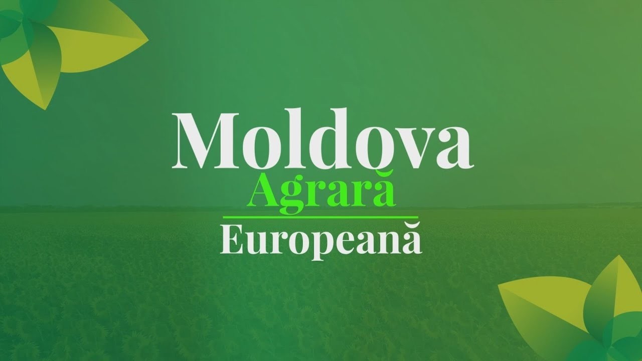 Moldova Agrara Europeana din 08 02 26