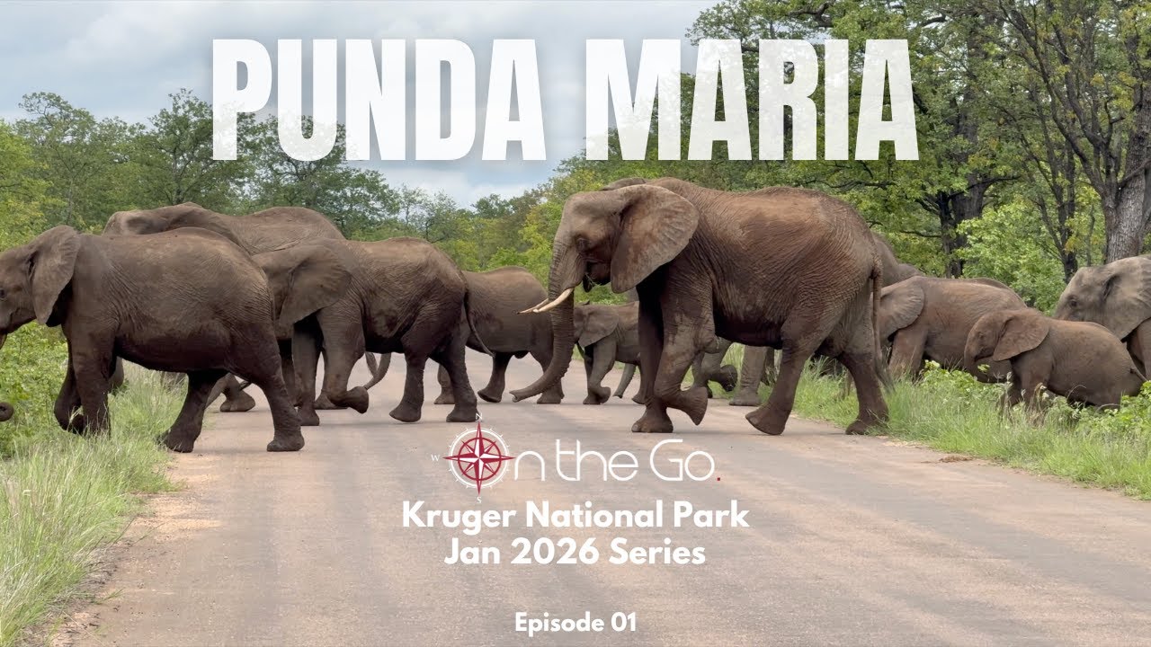 Kruger Jan ’26 Series | Episode 1 | Punda Maria Rest Camp | When Silence Teaches Us to Show Up