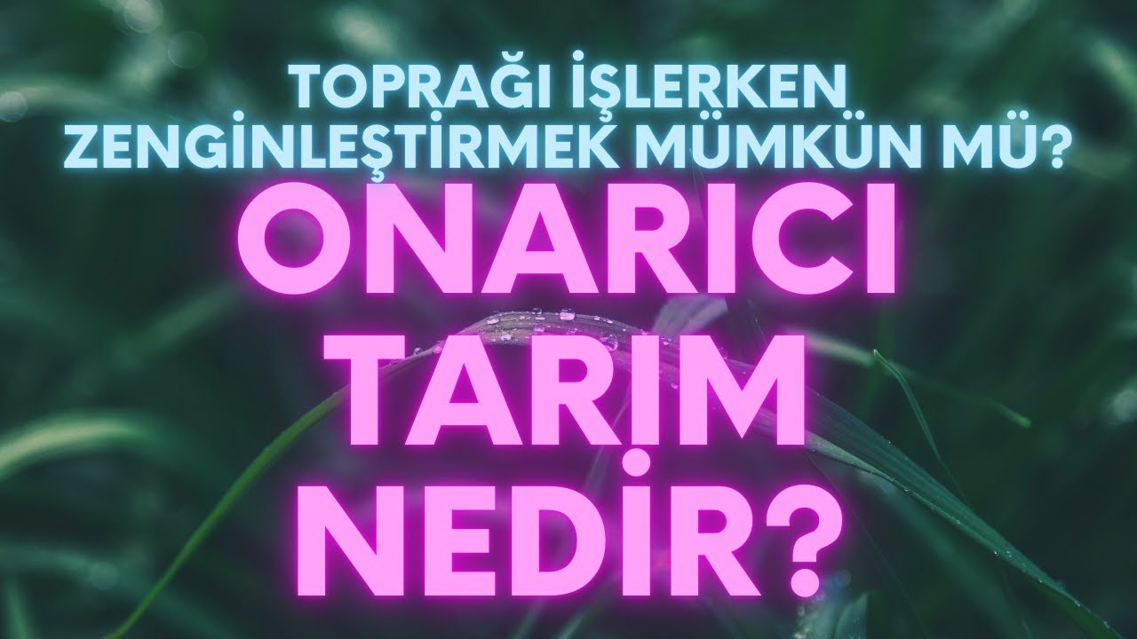 “Ürüne ve bölgeye özel reçetelerle toprağı onararak tarım yapmak mümkün” – Yasemin Kireç anlatıyor