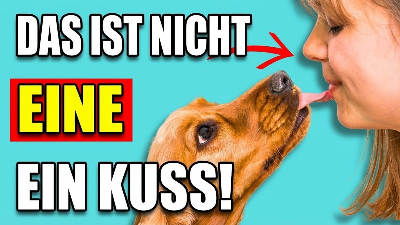 Wenn Hunde Dich LECKEN, Das Ist Es, Was Es WIRKLICH Bedeutet (Es ist NICHT süß!)