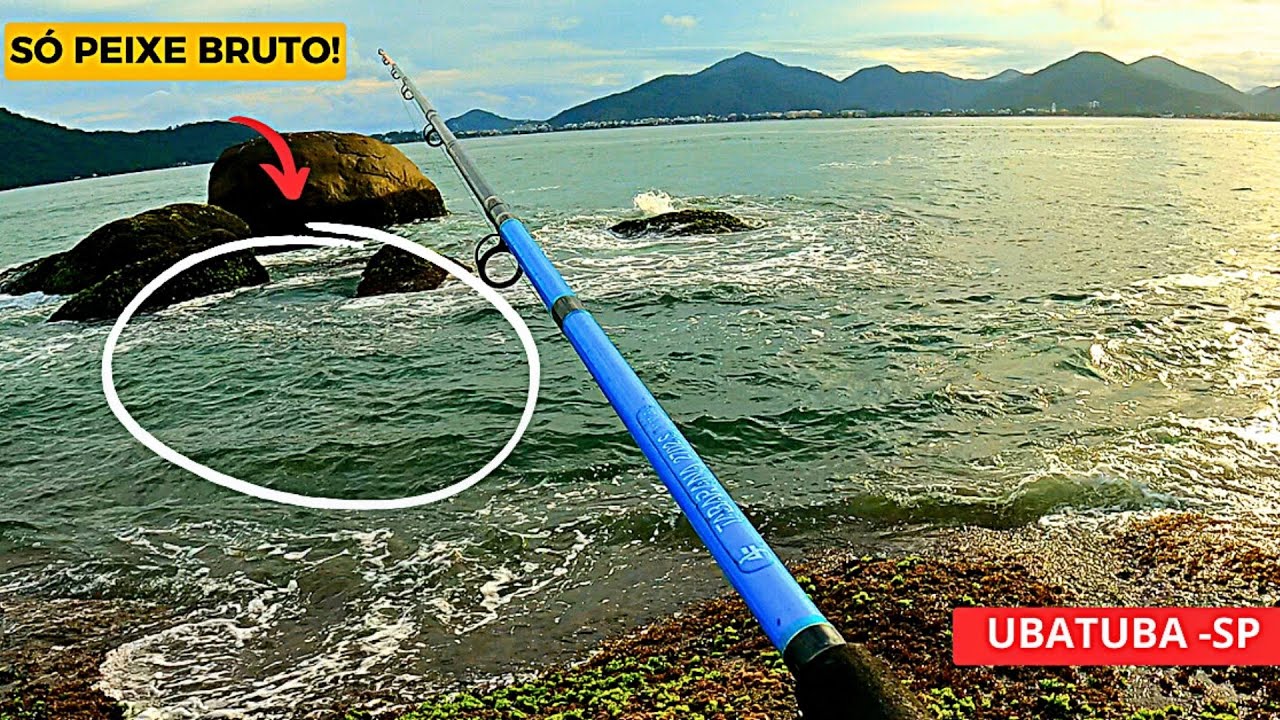 VOLTEI NA COSTEIRA DOS SARGOS EM UBATUBA Só peixe Bruto !