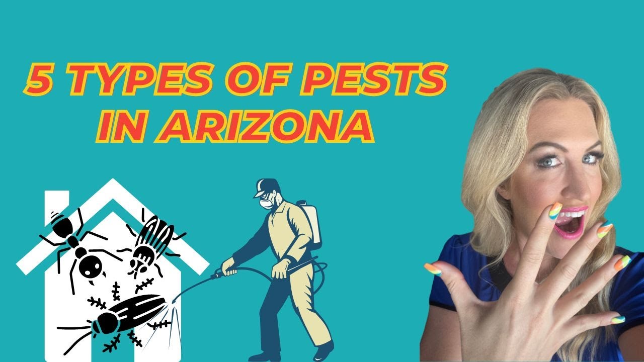 Arizona Pests | More Tips from a Pest Professional