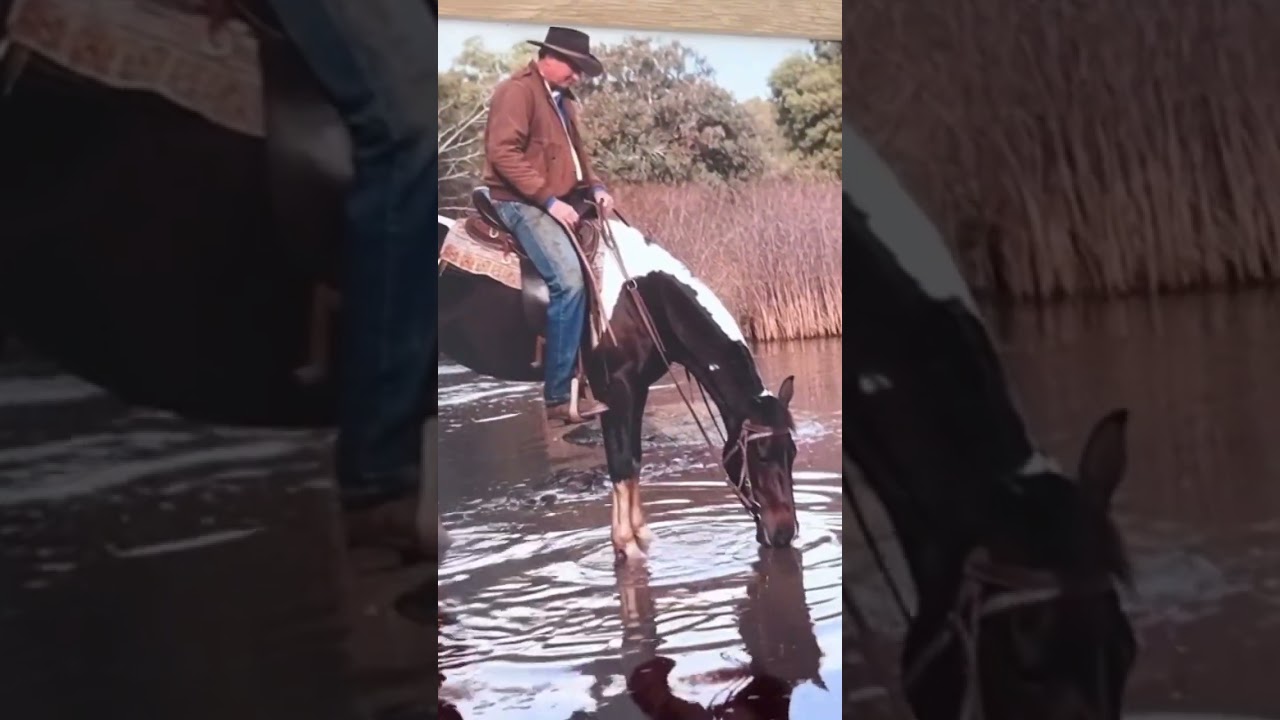 #cowboy #horse #aussie #mypoppy #grandfather