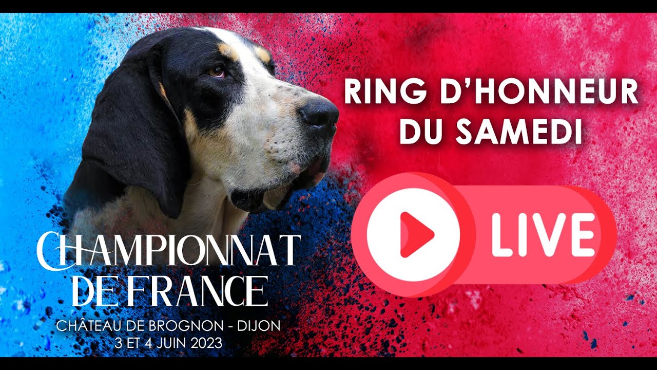 Championnat de France 2023 - ring d'honneur du samedi