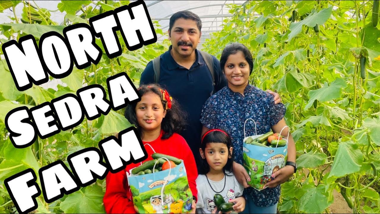 North Sedra Farm in Qatar | Places to Visit in Qatar | ഖത്തറിൽ ഉള്ളവർ ഇതൊന്ന് കാണണം.#northsedrafarm