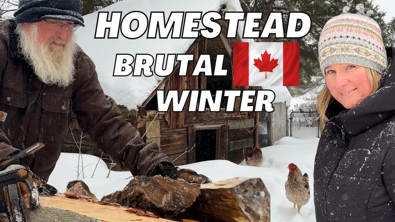 Harsh Canadian Winters on the Homestead