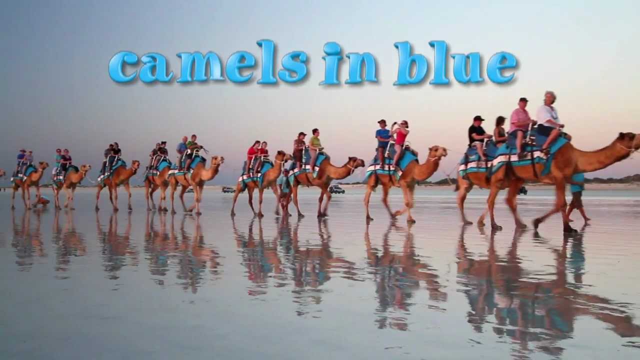 Broome Camel Safaris