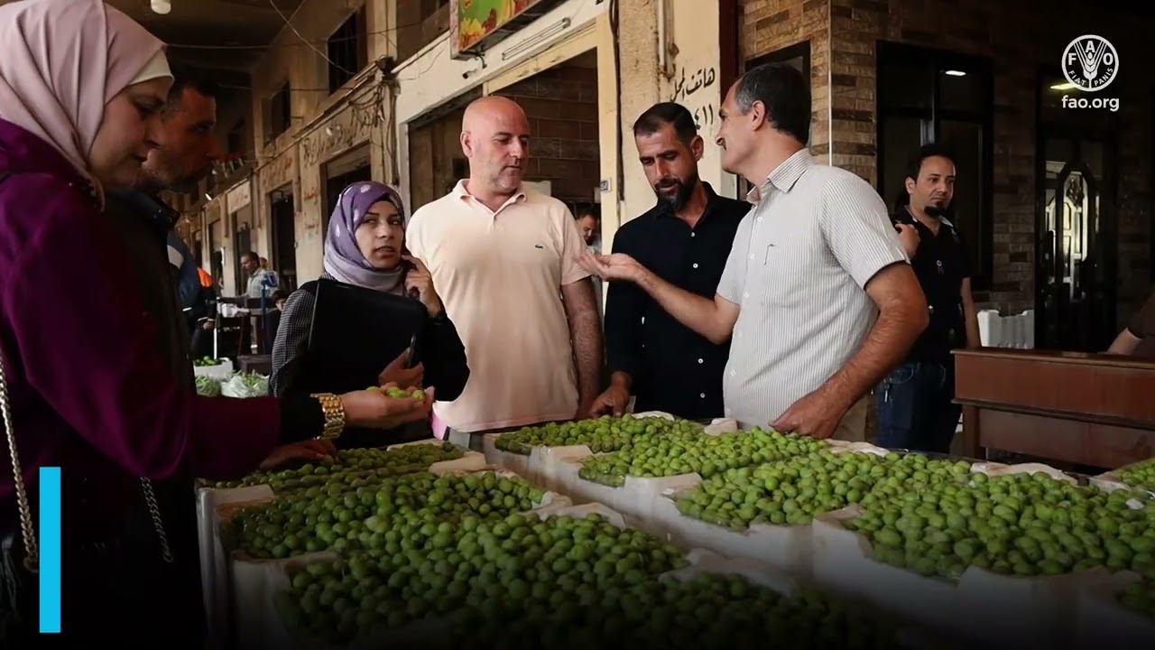 FAO supports farmers to develop their farms through farmers field schools