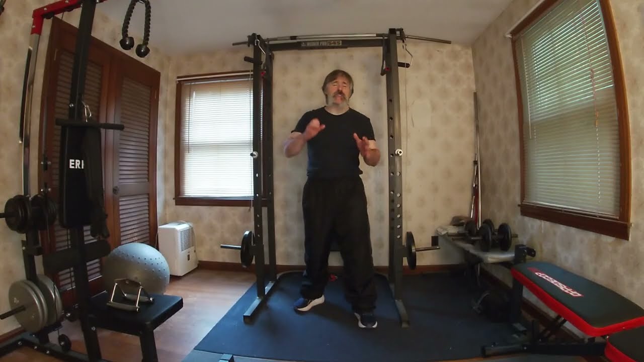 Bodyweight Pullups and Arm Training with buddy