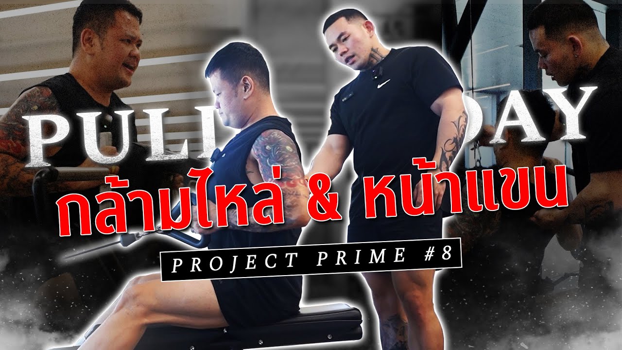 Project Prime #8 สร้างกล้ามเนื้อหลัง หน้าแขน สำหรับวัน Pull Day เหมาะกับมือใหม่ I FIT DESIGN PRIME
