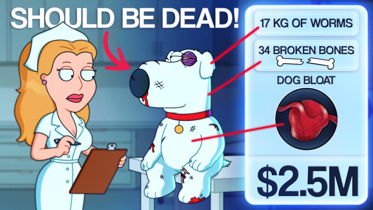 How Much Would Brian&rsquo;s Vet Bills Cost?
