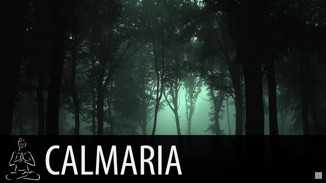🎧 FLORESTA NOITE ~ Chuva, Grilos, Corujas, Vento ~ 2 horas de som ~ Relaxe, Durma ~ ♫011