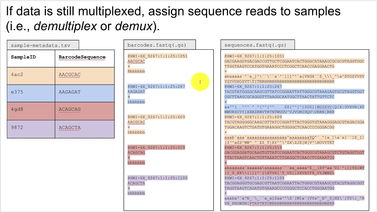 Microbiome Analysis Methods (part 1)