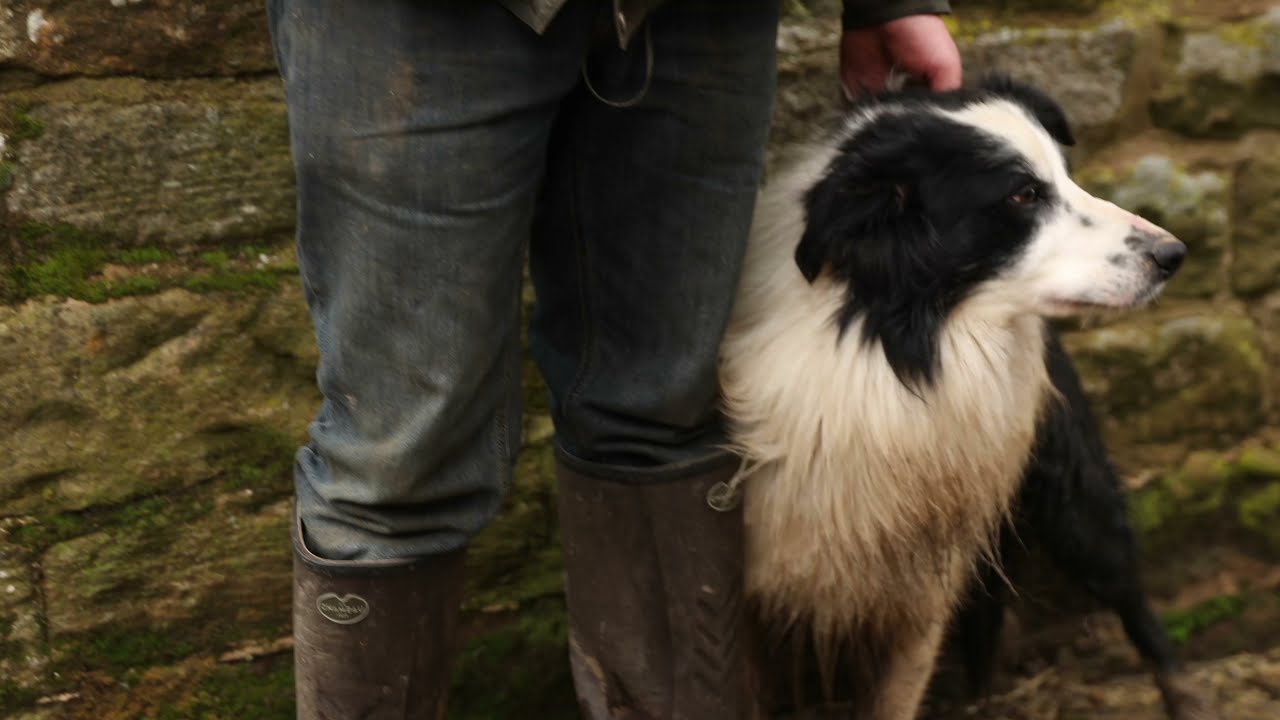 Dans les bottes de nos agriculteurs