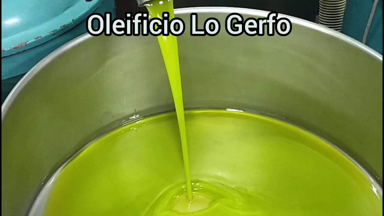 OLEIFICIO LO GERFO MISILMERI INIZIO CAMP. OLEARIA  2020-2021