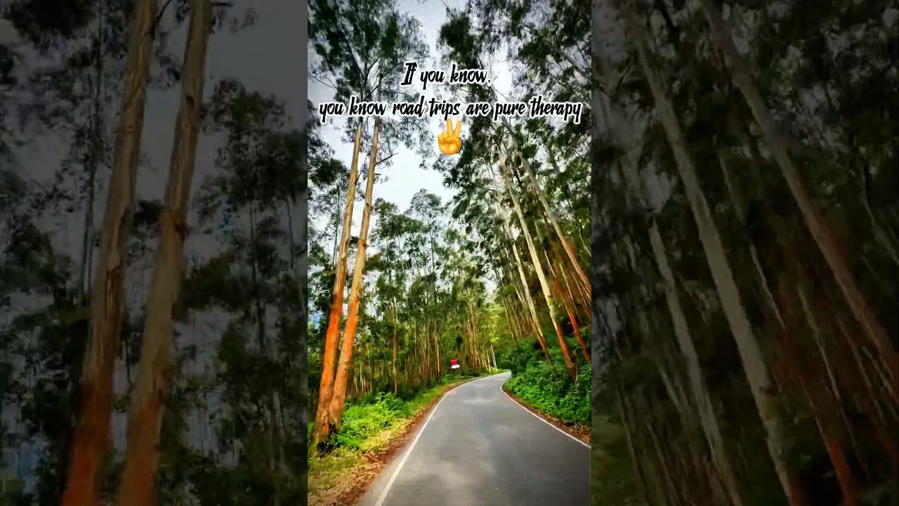 #kerala