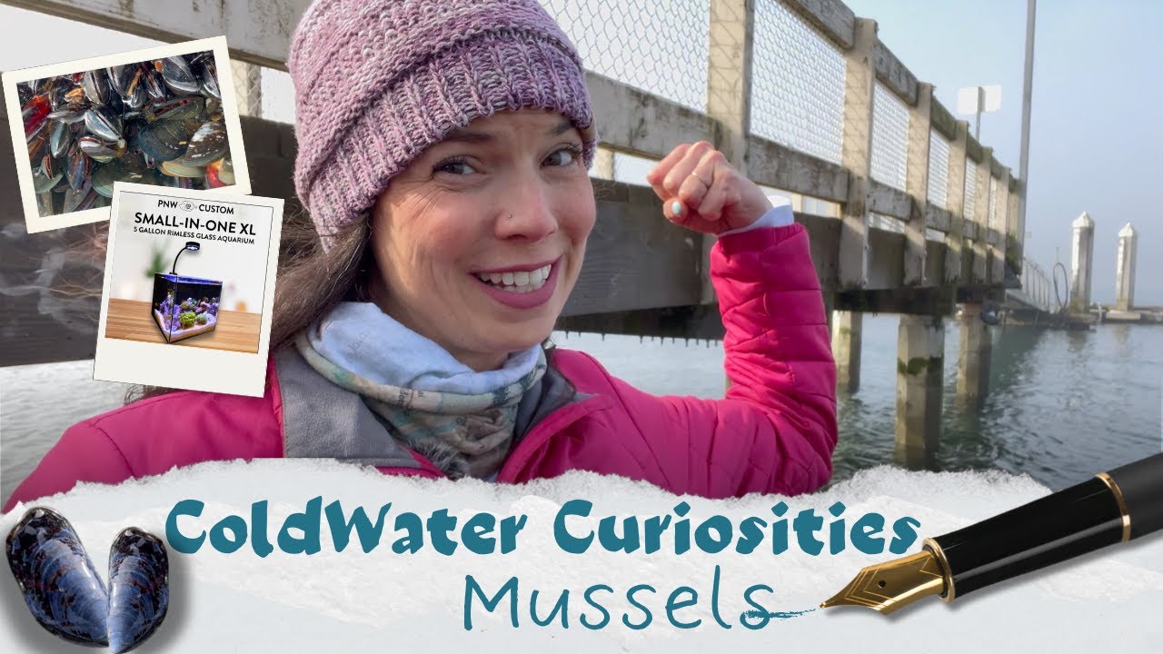 Coldwater Curiosities 02 Flex Your Mussels