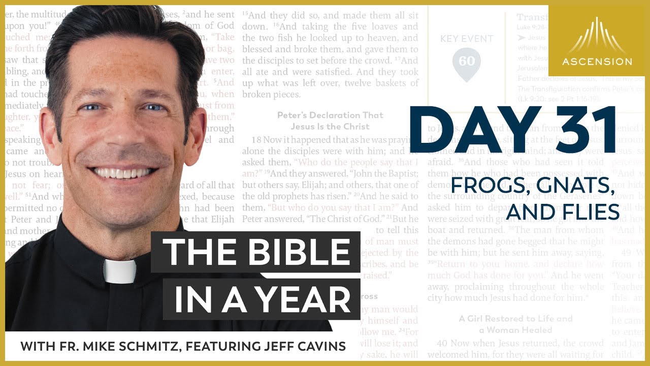 Day 31: Frogs, Gnats, and Flies &mdash; The Bible in a Year (with Fr. Mike Schmitz)