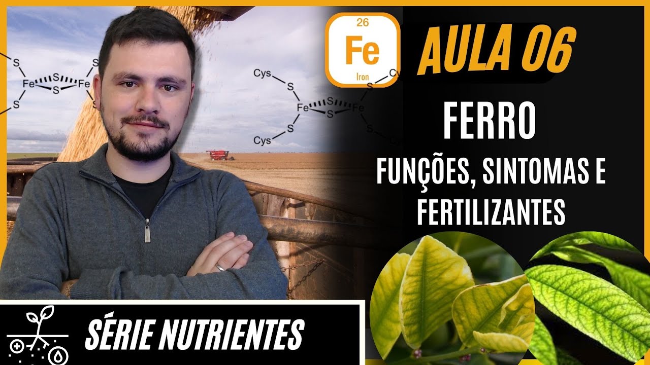 S&Eacute;RIE NUTRIENTES: FERRO fun&ccedil;&otilde;es, sintomas de defici&ecirc;ncia e fertilizantes para corre&ccedil;&atilde;o