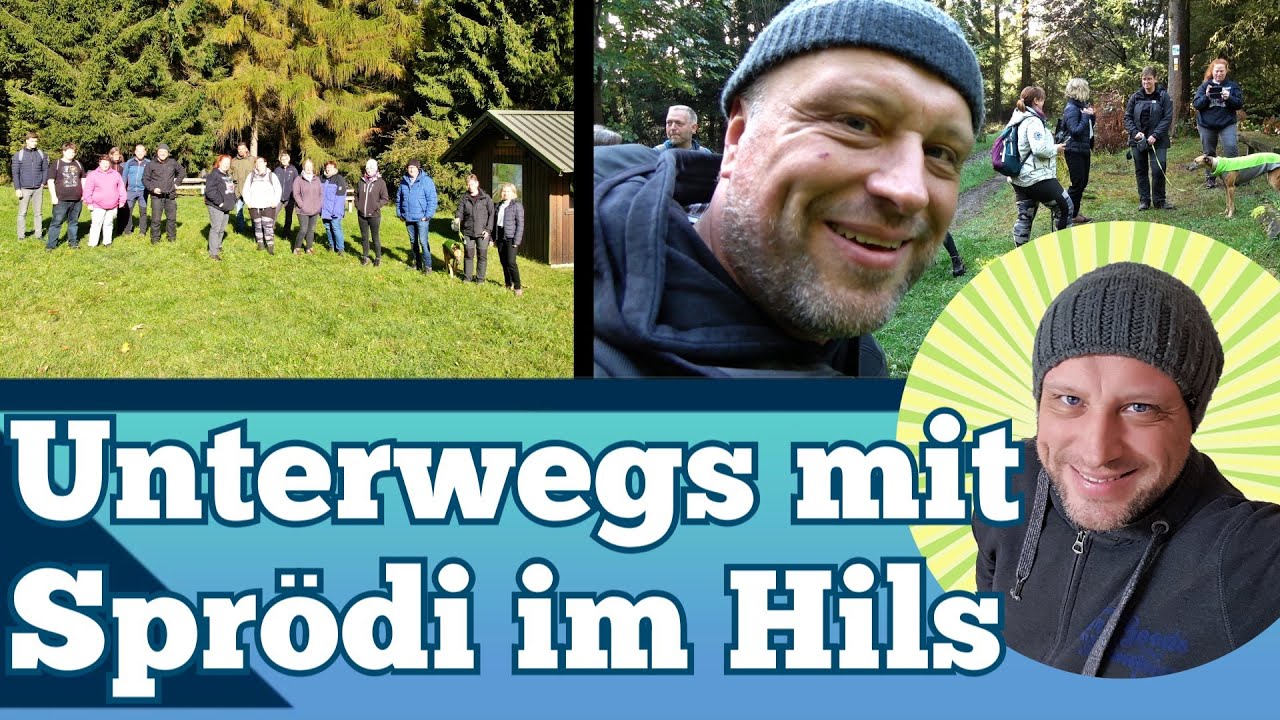 Unterwegs mit Spr&ouml;di im Hils - auf dem Hils-Kammweg &uuml;ber Feuerschneisenh&uuml;tte zum Wilhelm-Raabe-Turm