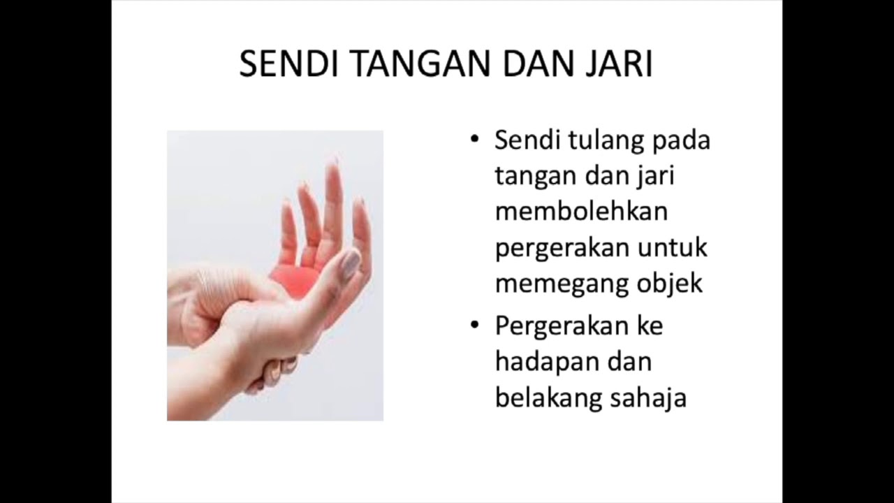 SENDI MANUSIA TAHUN 5
