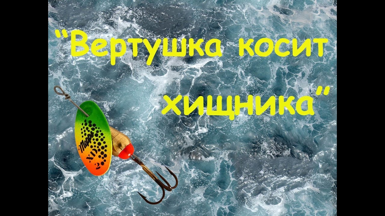 ЖОР ХИЩНИКА НА MEPPS!Хороший клёв на старице!