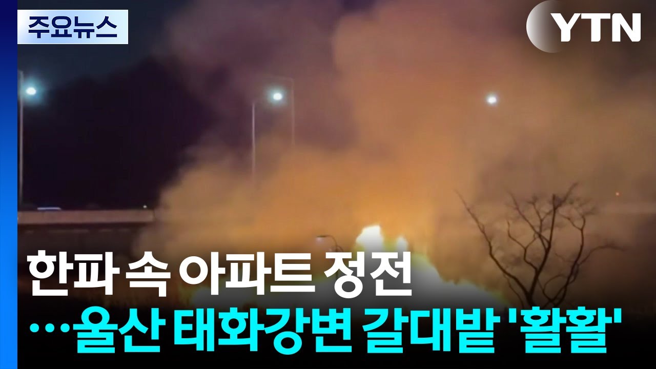 한파 속 아파트 정전...울산 태화강변 갈대밭 &rsquo;활활&rsquo; / YTN