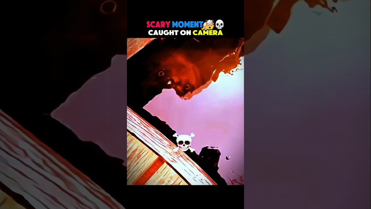 Scary Sea Creature caught on camera 🌊 #sealions  #caughtoncamera #wildlife