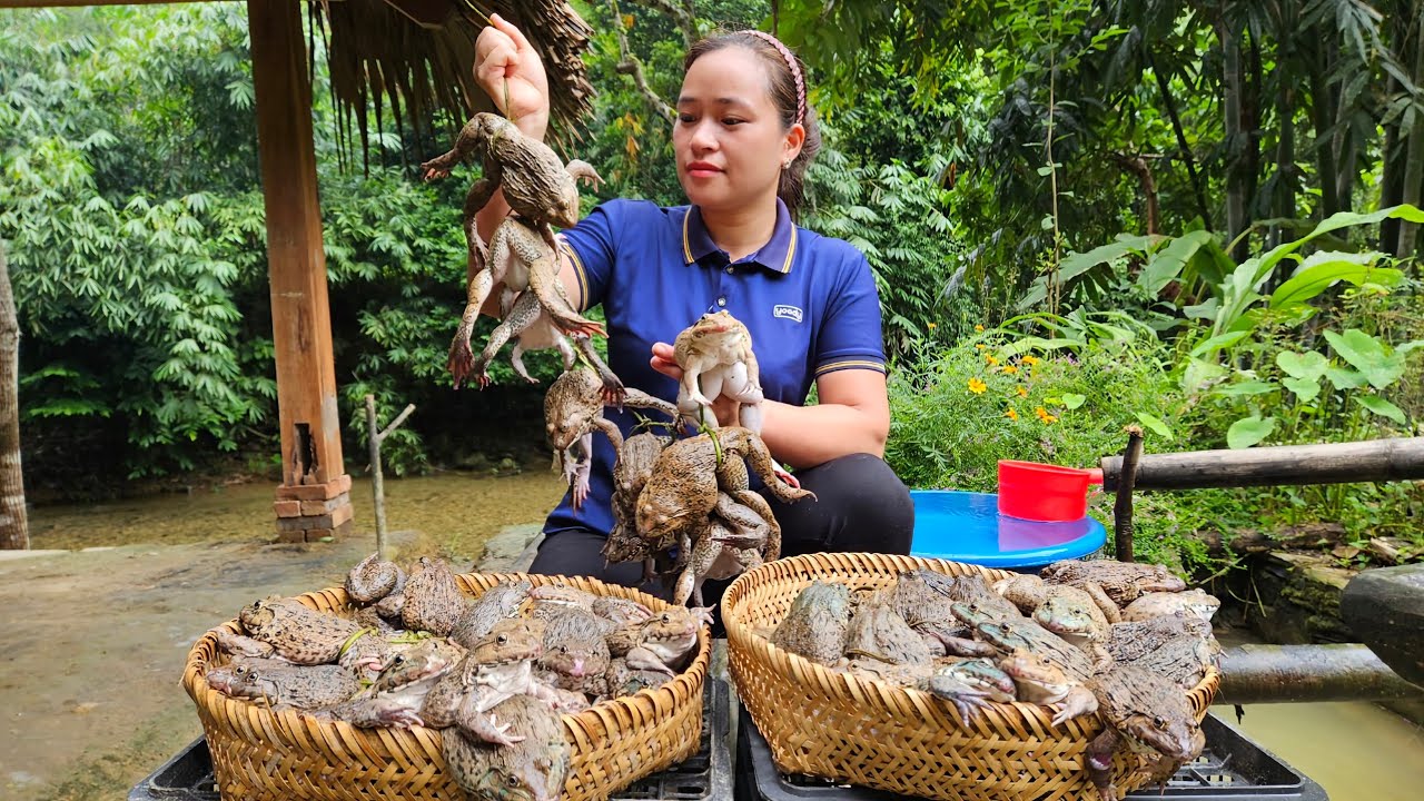 Harvesting & Find Frog Goes to market sell - Cooking - Live with nature